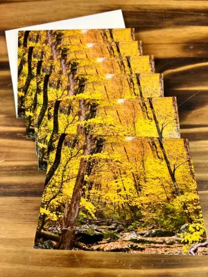 Fall In Dark Hollow Note or Greeting Cards by Scott Turnmeyer (6pk)